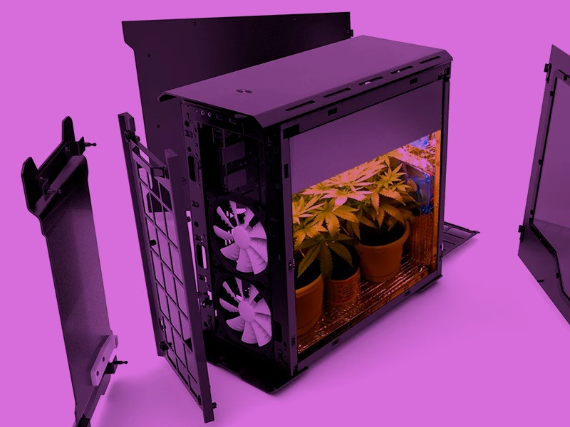Стелс выращивание конопли в системном блоке Стелс выращивание конопли в системном блоке