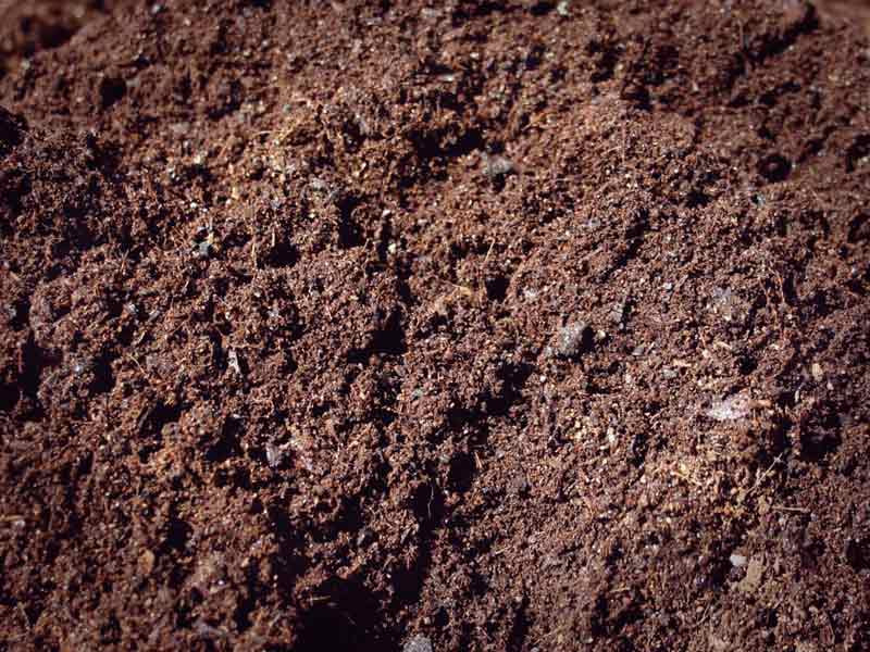 Свойства компоста для конопли Компост для конопли