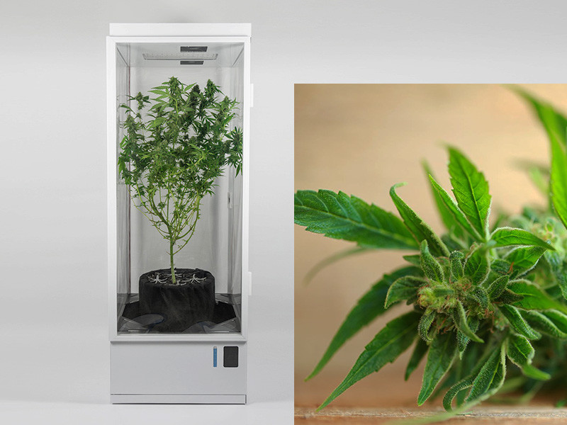 Метод автоматизации гроубокса с помощью блоков управления Автоматизация гроубокса при помощи блоков управления