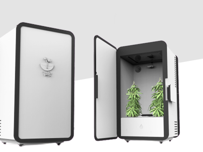 Способы автоматизации гроубокса Автоматизация гроубокса