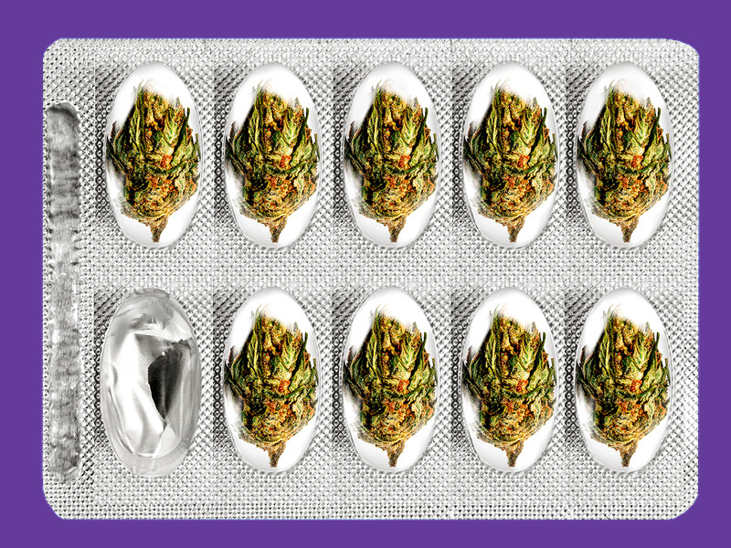 Эффективность конопли в медицине Конопля как лекарство