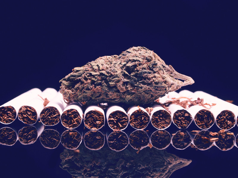 Курение табака вреднее чем курение травки Вред для организма от употребления табака и конопли