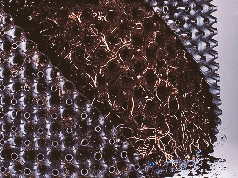 Хорошая корневая система с отличной аэрацией Развитость корней в умных горшках