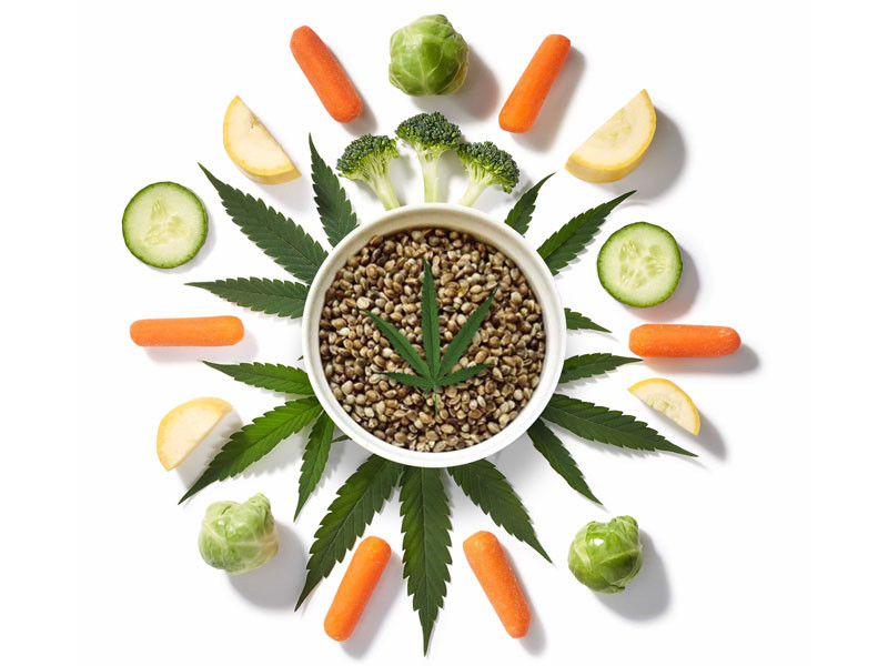 Как именно усваивается каннабис Продукты из конопли