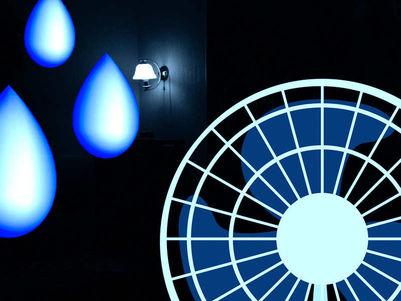 Условия для корректной сушки конопли Условия для правильной сушки конопли