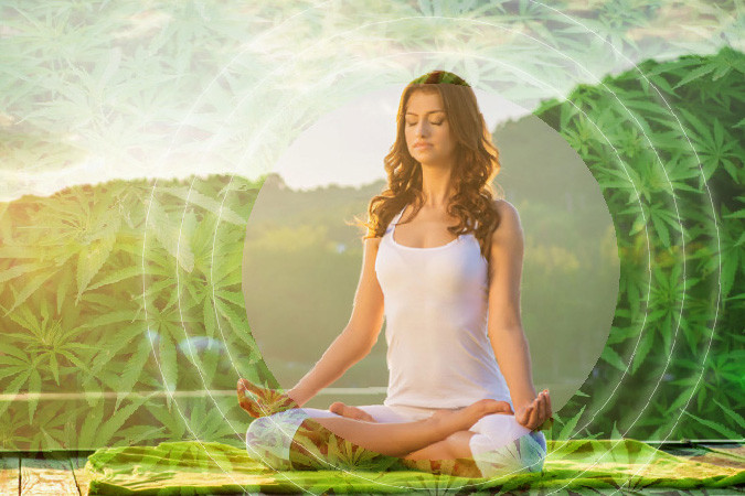 Лечение и профилактика болезней семенами марихуаны Профилактика и лечение болезней семенами конопли