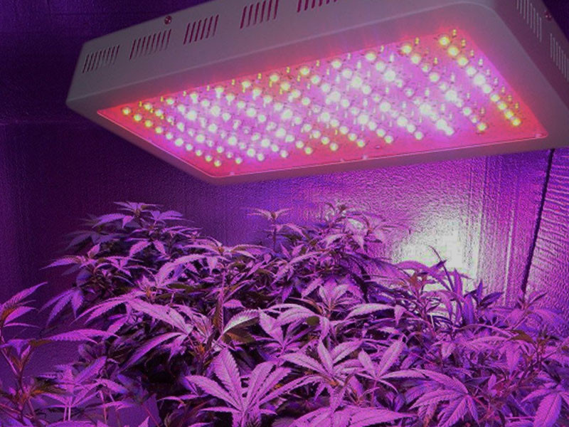 Какие ДНаТ лампы подходят для выращивания марихуаны Выбор ДНаТ ламп для конопли