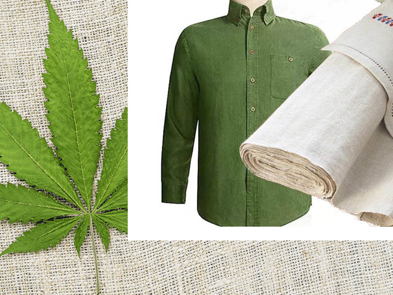 Виды конопли и их польза Виды марихуаны