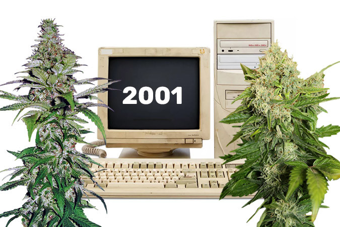 Dzagi - начало истории Знакомство с Dzagi