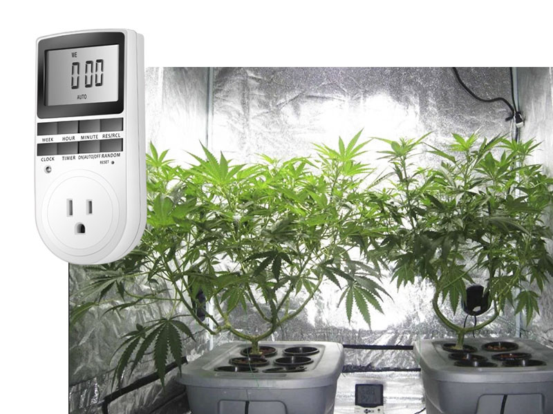 Метод автоматизации гроубокса с помощью таймера Автоматизация гроубокса при помощи таймера