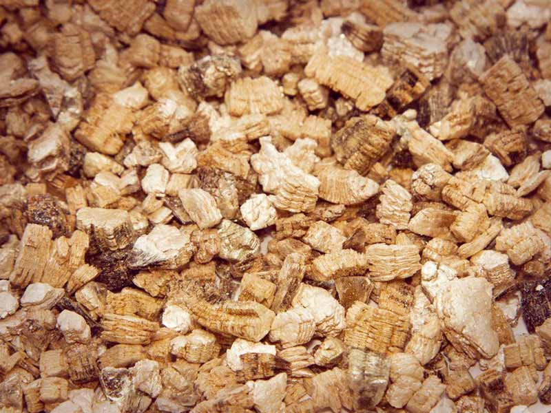 Выращивание каннабиса и вермикулит Минерал вермикулит для семян каннабиса