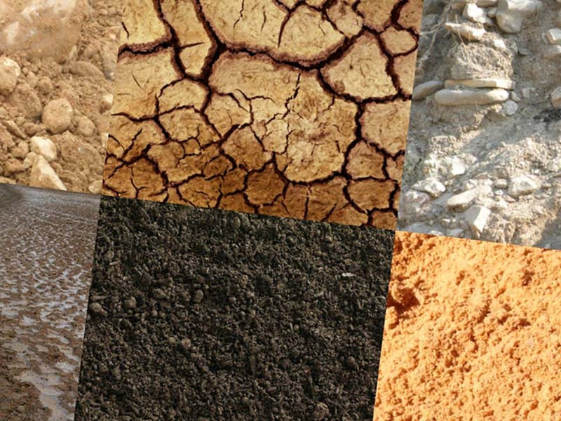 Какая структура почвы обеспечит куст конопли необходимой устойчивостью Виды почвы для марихуаны