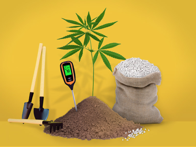 Какой же грунт для конопли выбрать Земля для марихуаны