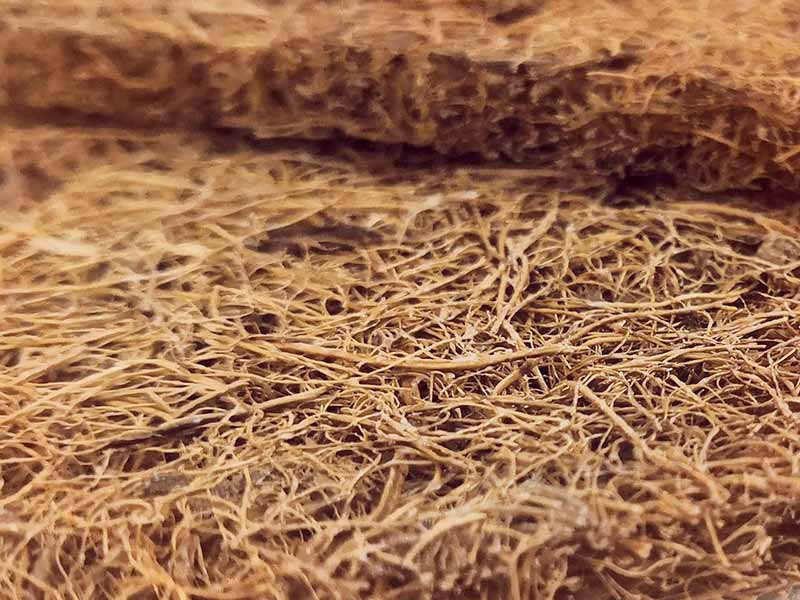 Почвосмесь из каннабиса из кокосового волокна Семена каннабиса и кокосовое волокно