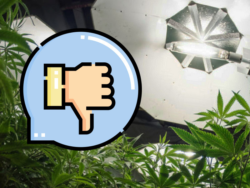 Недостатки ДНаТ ламп, которые могут повлиять на качество гровинга каннабиса Недостатки ДНаТ освещения для конопли