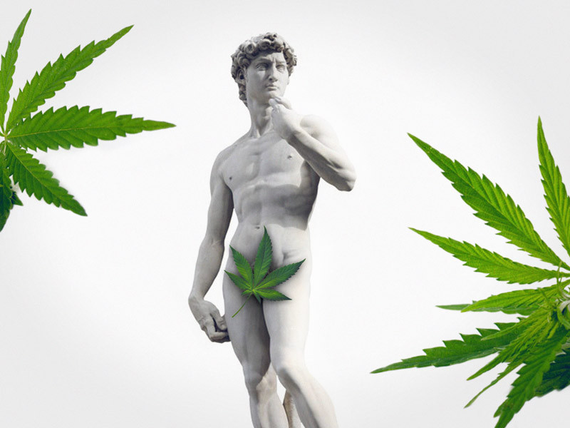 Влияние марихуаны на состояние организма мужчины Влияние каннабиса на здоровье