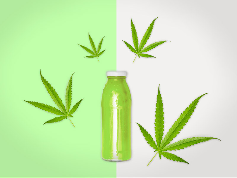 Побеждаем жару при помощи каннабиса Каннабис и треморегуляция