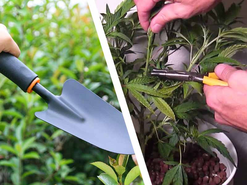 Расходные материалы необходимые гроверу при пересадке конопли Расходники при пересадке конопли