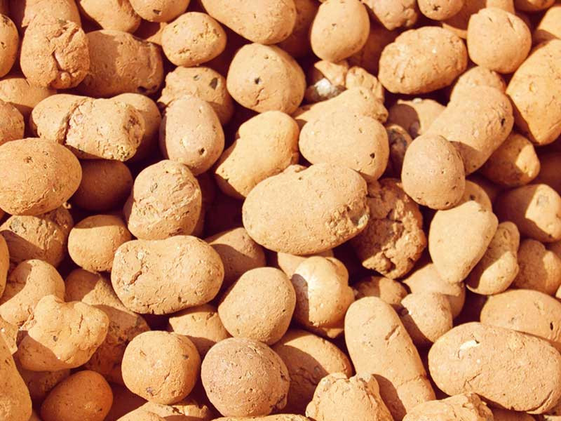 Подготовка керамзита для конопли Субстрат керамзит для выращивания конопли